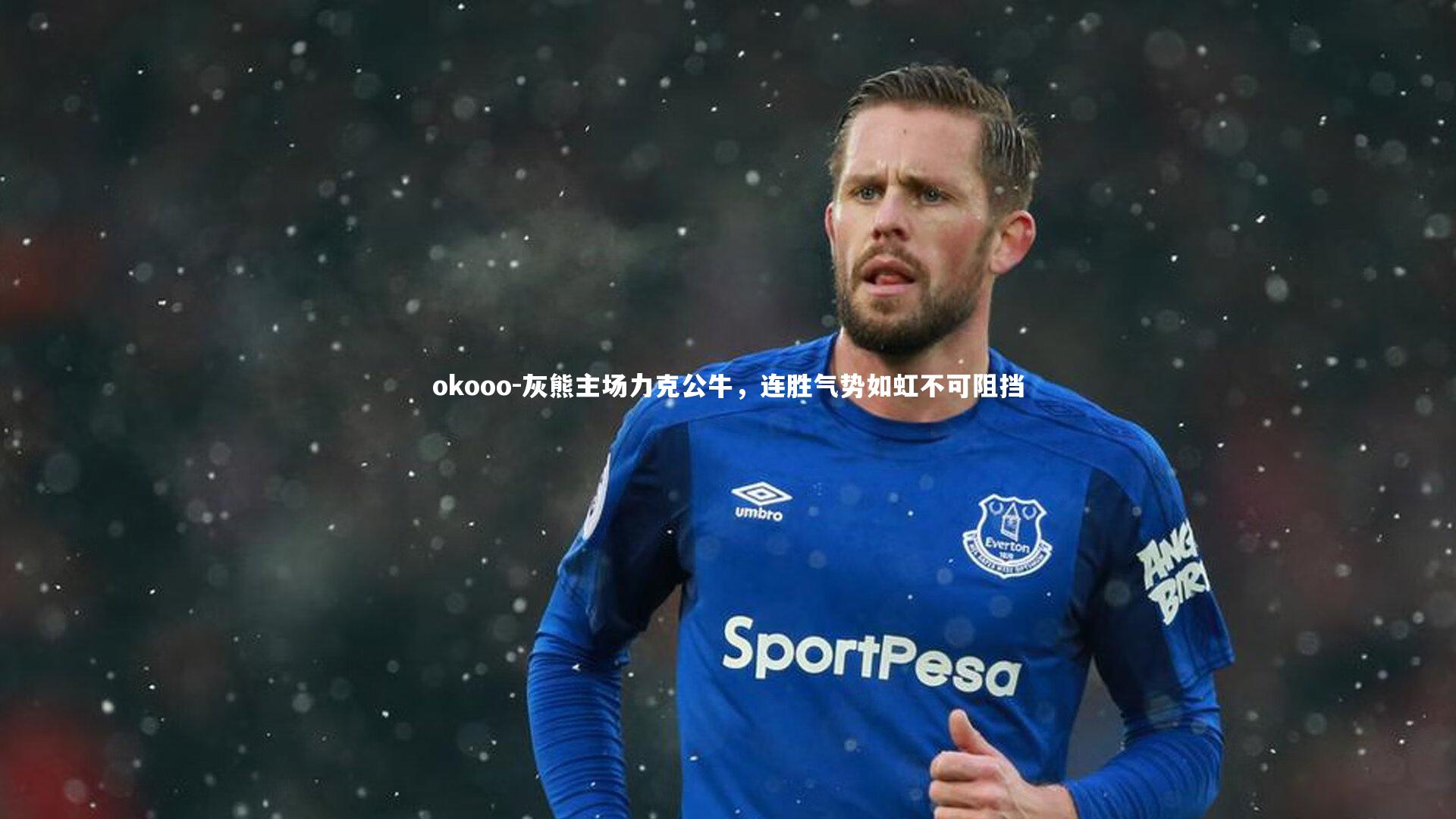 okooo-灰熊主场力克公牛，连胜气势如虹不可阻挡